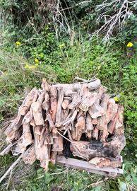 Legna da ardere: ULIVO!