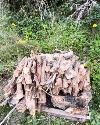 Legna da ardere: ULIVO!