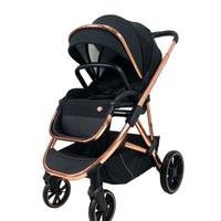 Passegino, Carrozino. Trio Modulare Leonie Lulu'