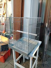 Gabbia 