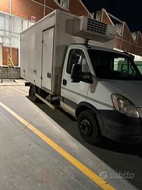 Iveco daily 60c15 frigo