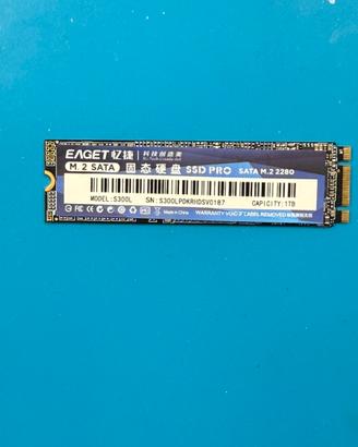 Eaget SSD M.2 SATA 1TB DISCO RIGIDO HARD DISC