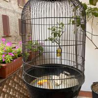 Gabbia  con supporto in metallo uccelli