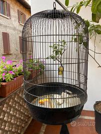 Gabbia  con supporto in metallo uccelli