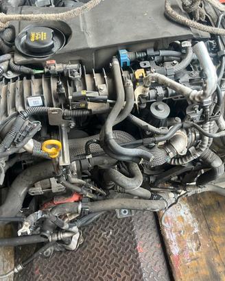 Motore 204dtd