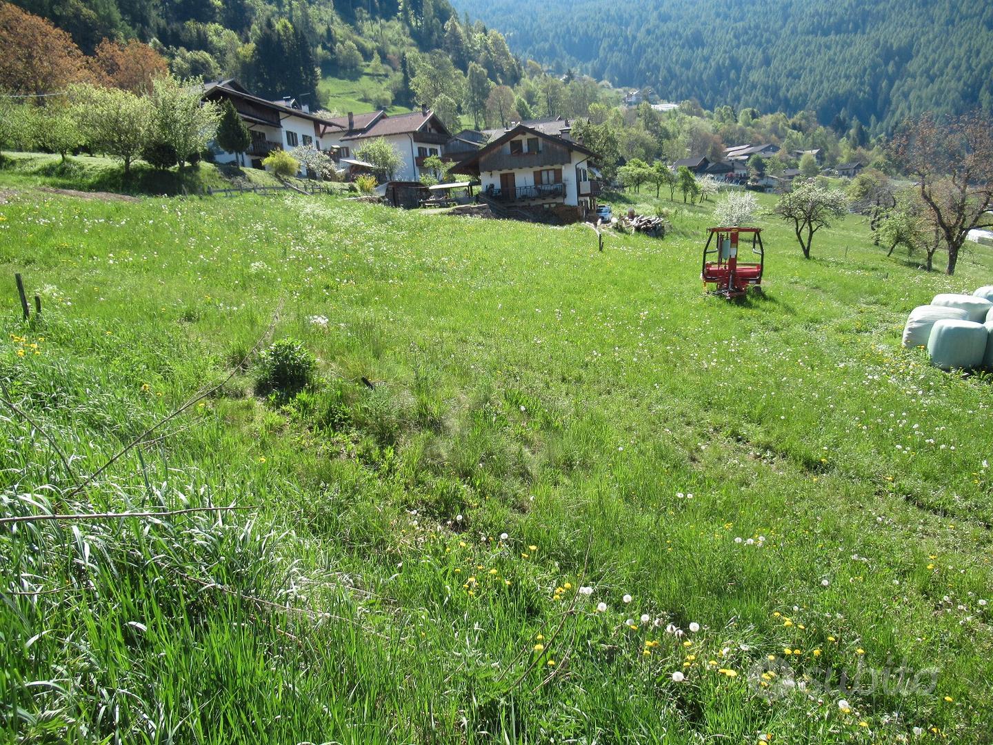 Fierozzo (Tn) Terreno edificabile - Vista 3