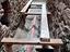 Immagine 4