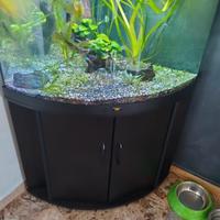 Acquario juwel trigon 190