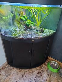Acquario juwel trigon 190