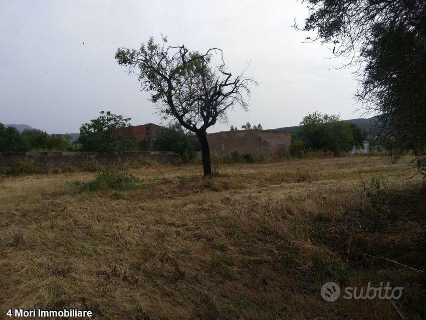 Terreno Loc. Is Pinnas mq. 1900 - Vista 4