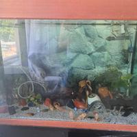 Acquario artigianale