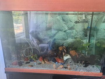 Acquario artigianale