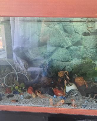 Acquario artigianale