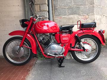 Moto Guzzi Lodola 235