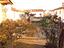 Immagine 26