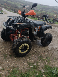 Quad 250 kxd pro