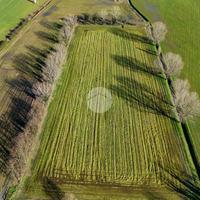 TER. AGRICOLO A SANTO STEFANO LODIGIANO