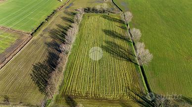 TER. AGRICOLO A SANTO STEFANO LODIGIANO