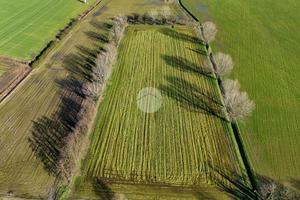 TER. AGRICOLO A SANTO STEFANO LODIGIANO