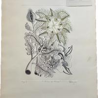 GIUSEPPE BOSICH “FIORI DI CARNE”  2 OPERE