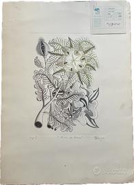 GIUSEPPE BOSICH “FIORI DI CARNE”  2 OPERE