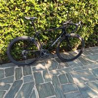 giant tcr 