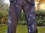 Immagine 5
