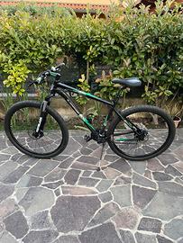 Bicicletta Mountain bike