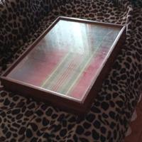 vetrinetta da tavolo per monete o collezioni