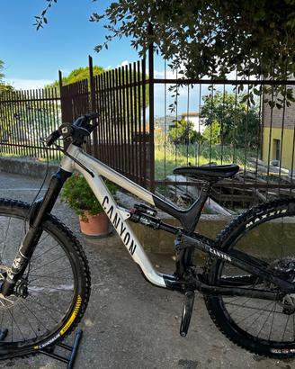 Canyon spectral al 5