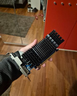 scheda video NVIDIA gt520 