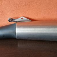 Scarico Moto Guzzi Griso 1100