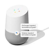 google home