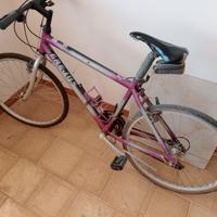bici da corsa e monte bike 