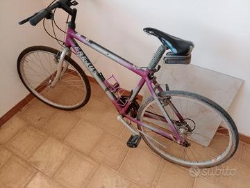 bici da corsa e monte bike 