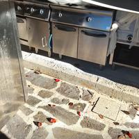 Cucina e cella in acciaio