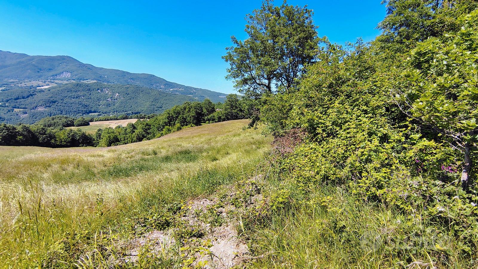 Terreni con ex fabbricato rurale - varsi - Vista 3