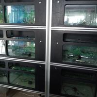 strutture espositive per acquariologia