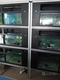 strutture espositive per acquariologia