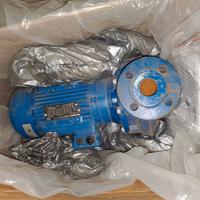 ELETTROPOMPA LOWARA LNEE 40- 160/30