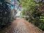 Immagine 25