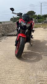 z650 2022 (35kw) 50ann.