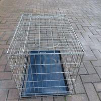Gabbia per cane