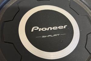 Pioneer woofer ts-sw3001s4