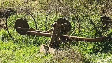 Ranghinatore a stella