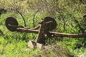 Ranghinatore a stella