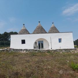 Trulli abitabili con olivietto