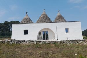Trulli abitabili con olivietto