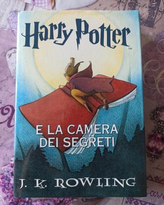 Harry Potter libro, camera segreti