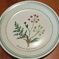 Piatti collezione Cotto Veneto 